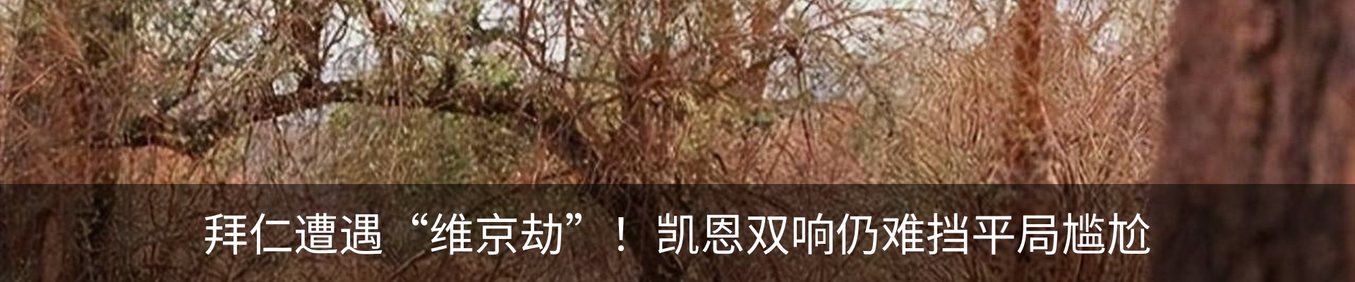 新闻动态